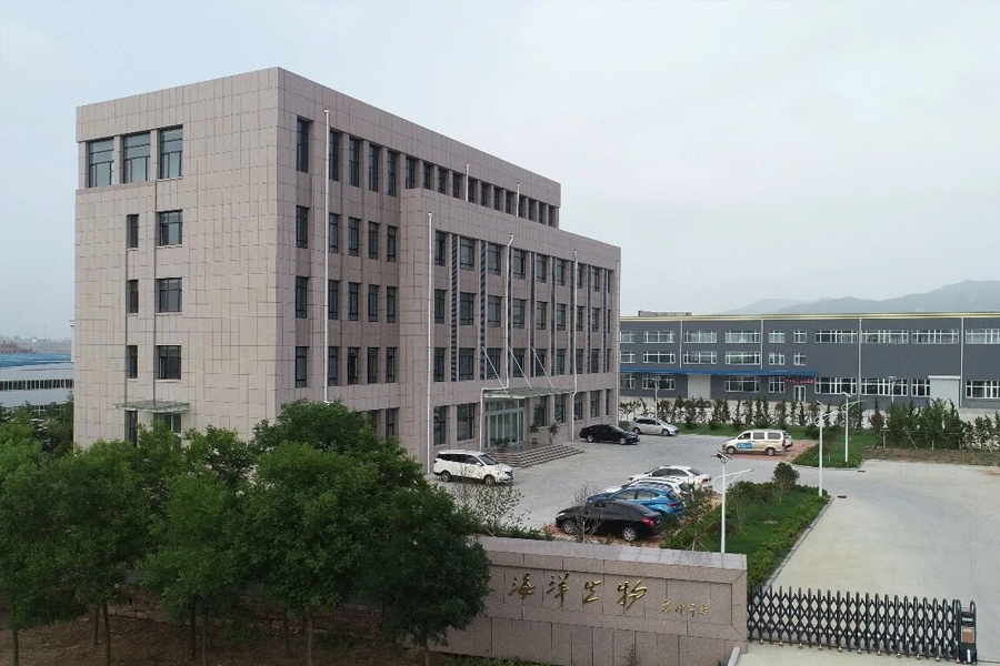 主动作为出实招，助企纾困促发展