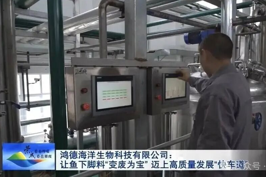 石岛鸿德海洋生物 通过先进生物技术，把鱼下脚料“变废为宝”，加工成高端鱼蛋白产品